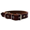 Δερμάτινο Περιλαίμιο Σκύλου 45cm X 25mm