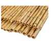 Reed Whole Reed Two-year 200 X 300 cm