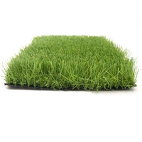 ΓΚΑΖΟΝ AMORGOS 40mm 2Μ NewPlan