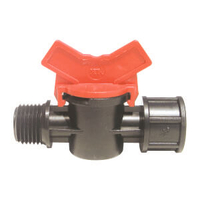 Βανάκι Νίπελ Αρσενικό- Θηλυκό