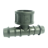 Τα Φις Νίπελ Θηλυκό