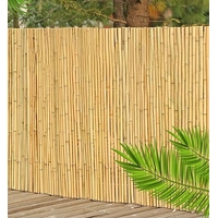 Reed Whole Reed  Two-year 200 X 500 cm