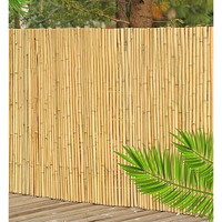 Καλαμωτή Ολόκληρο Καλάμι Διετές 300 X 300 cm