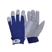 Leather Gloves FLEXY 8604 Blue