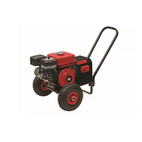 Olive Harvester Generator 100A GEOTEC GTOG-1000 E (1-5 Rods)