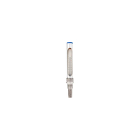 Thermometer Vertical FERRY 20cm
