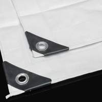 Μουσαμάς Λευκός 8 Χ 10 Αδιάβροχος Με Κρίκους 190gr/m2