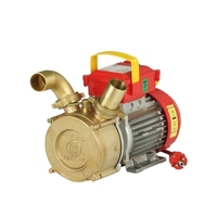 Αντλία Επιφάνειας Μετάγγισης 0,6Hp ROVER POMPE BEM25