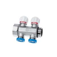 Συλλέκτης 2 Παροχών 1" Smart Form 1662 Brass Form