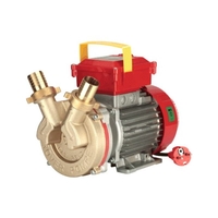 Αντλία Επιφάνειας Μετάγγισης 0,5Hp ROVER POMPE 20CE