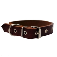 Δερμάτινο Περιλαίμιο Σκύλου 45cm X 25mm
