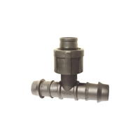 Ταφ Φις Σταλακτηφόρου Ταινίας