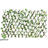 Φυλλωσιά Συνθετική Κισσός Σε Πέργκολα 100 Χ 200cm GREEN TOOLS