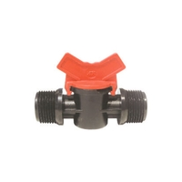 Βανάκι Νίπελ Αρσενικό – Αρσενικό