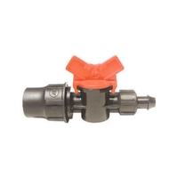 Βανάκι Πιπέτα - Ρακόρ