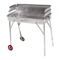 Ψησταριά Με Πλάτη Γαλβανιζέ 55 Χ 30 cm