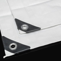 White Tarpaulin 3 X 4 Waterproof With Rings 190gr/m2