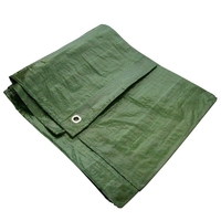 Μουσαμάς Πράσινος 6 Χ 10m Αδιάβροχος 85gr/m2