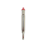 Liquid Food Thermometer