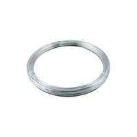 Σύρμα Γαλβανιζέ 30m 1.0mm INTER