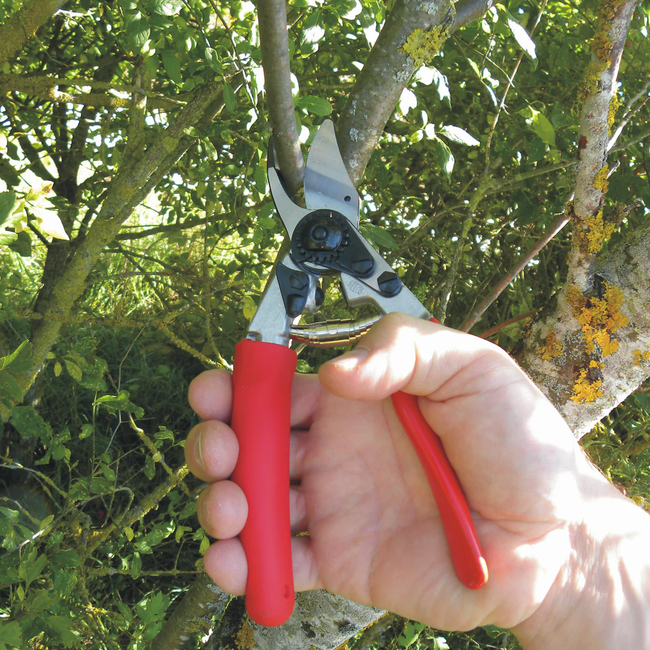 FELCO No 12 Pruning Shears With Rotating Handle For Right-Handers