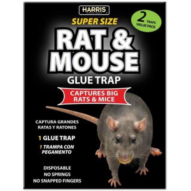 Glue Mouse Trap 15×13cm (2 pcs)