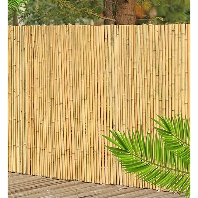 Καλαμωτή Ολόκληρο Καλάμι  Διετές 200 X 300 cm