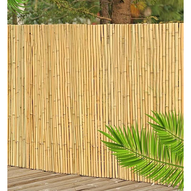 Καλαμωτή Ολόκληρο Καλάμι Διετές 300 X 300 cm