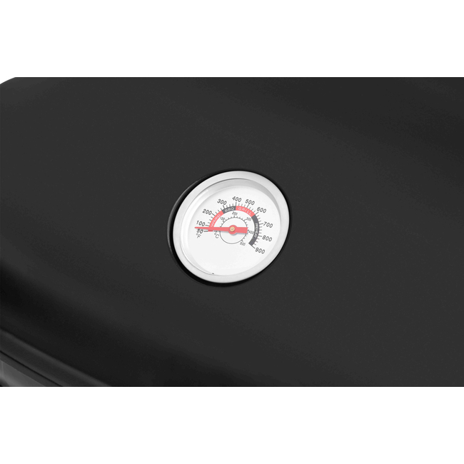BBQ ΥΓΡΑΕΡΙΟΥ GS GRILL 2 MINI - 5kW