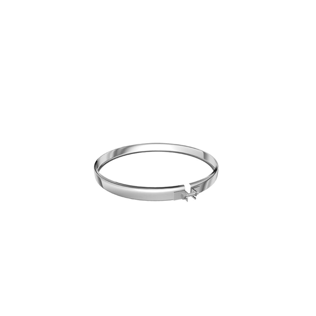 Chimney Clamping Ring