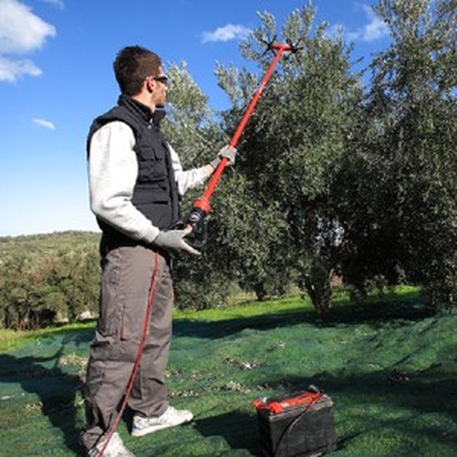 Παλμικό Ελαιοραβδιστικό X. QUATTRO CF Agrotechnic 2.40m 