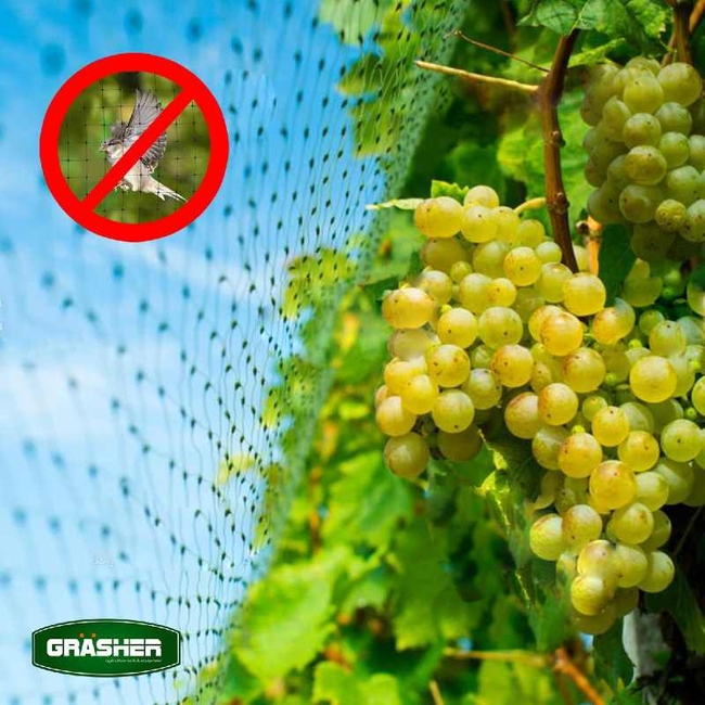 Δίχτυ Απώθησης Πουλιών 8x10m GRASHER