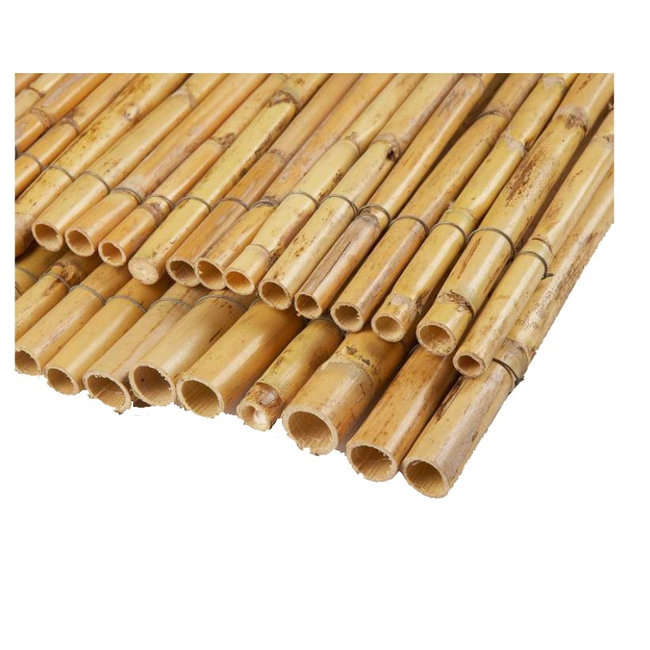 Καλαμωτή Ολόκληρο Καλάμι Διετές 150 X 300 cm